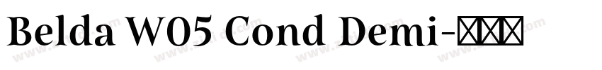 Belda W05 Cond Demi字体转换
